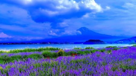 Mount Fuji in Spring - fuji, clouds, nature, lavender, spring, field, mountain