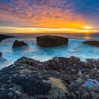 Ocean at Sunset