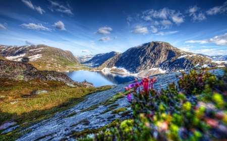 Spring Landscape with Mountain