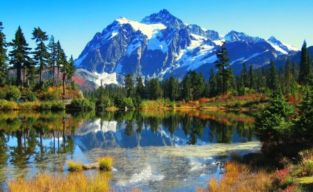 look at nature - fun, nature, lake, forest, cool, mountain