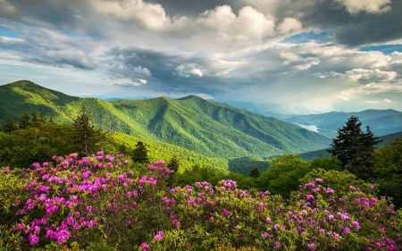 Mountains - mountains, landscape, clouds, blooms, nature