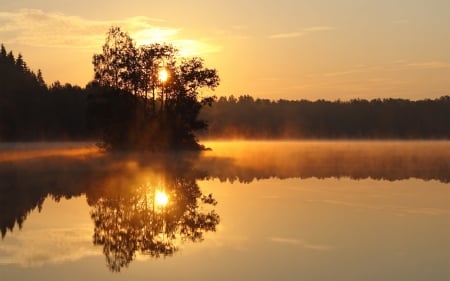 sunset reflection - tree, water, sunset, reflection