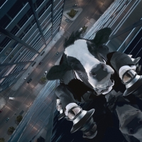 High Rise