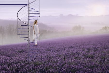 Lavender field - lavender, girl, flower, creative, fantasy, stairs, purple, glen wexler, field