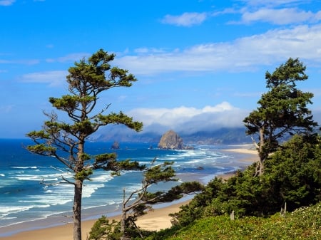 Rock on the Oregon Coast - trees, nature, coast, beach, landscape, ocean, sky