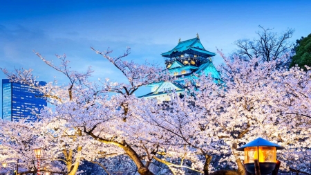 Osaka View - sakura, scenery, blossom, cherry, city, osaka, japan, nature, castle, japanese