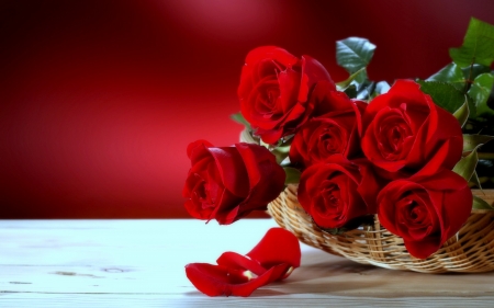 Beautiful roses in a basket - flowers, pretty, roses, basket, nature, beautiful, red, still life