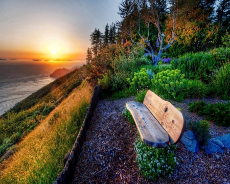 Spring Sunset - trees, sunset, nature, bench, sea, spring, forest