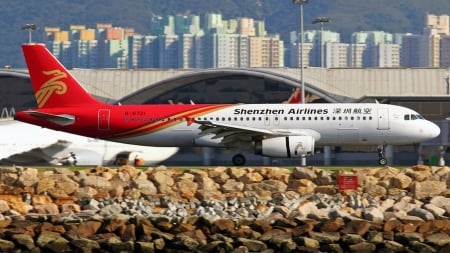 Airbus A320 Shenzhen Airlines - Plane, A320, Airlines, Shenzhen, Airbus