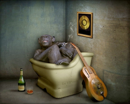 V.I.P. only - bottle, singer, bath, creative, monkey, guitar, fantasy, funny, situation