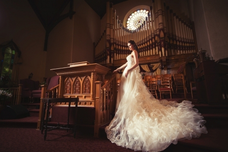 Lovely Bride - bride, room, woman, model