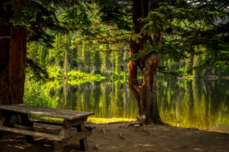 Tranquil lake - greenery, trees, beautiful, tranquil, reflection, rest, view, serenity, bench, lake, park