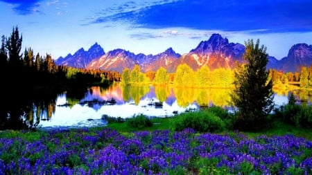 Floral Field Near The Mountain - nature, sky, floral, trees, mountain, clouds, green, meadow