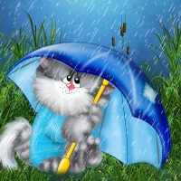 Keeping Kitty Dry