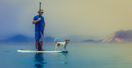 No worries. - dog, man, ocean, board