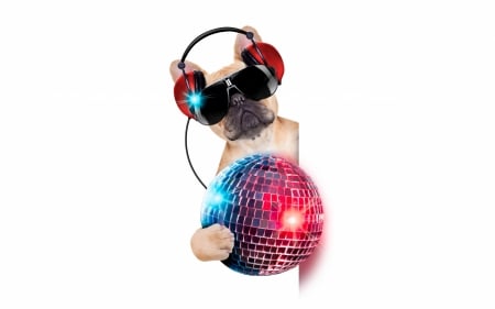 Funny dog - disc, blue, dog, creative, pink, headphones, white, animal, funny, caine, puppy, sunglasses