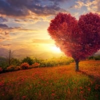 Heart Tree