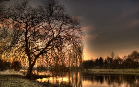 Morning in Northern Germany - trees, water, nature, sunrise, morning, reflection, sky