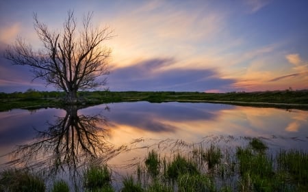 Amazing Nature - beautiful, nature, water, sunset