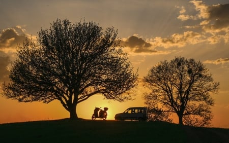 Beautiful time for lovers - sunset, love, nature, tree