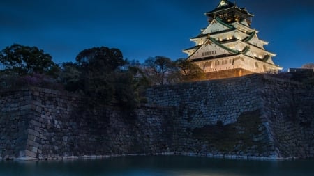 Osaka Castle - japan, osaka, scenery, castle, nature, japanese, night