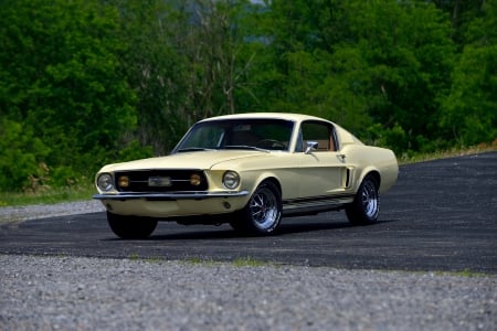 1967 Ford Mustang GT Fastback - 1967, ford, 1967 ford mustang gt fastback, fastback, gt, rare, vintage, mustang, classic