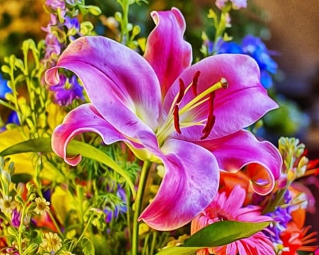 LILY - flowers, leaves, petals, stem