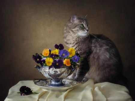 Innocence itself - vase, flower, still life, cat, pisica, animal, pansy, innocence, daykiney