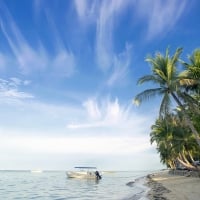 Small Boat Close to the Shore