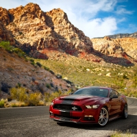 2017 Shelby Super Snake