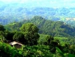 Buddhist Temple at_Rangamati,Bangladesh