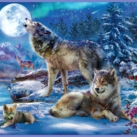 Wolves under the Full Moon
