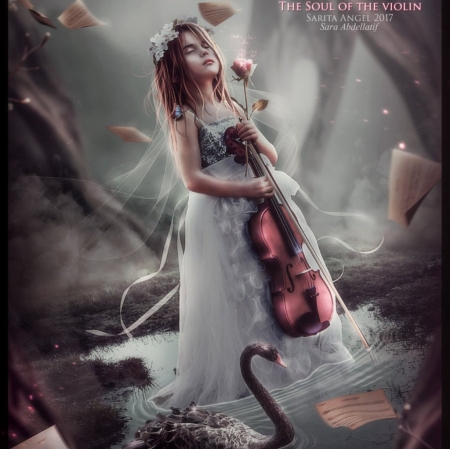 The Soul of Violin