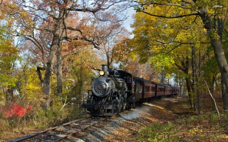 through the forest - steam, train, track, forest