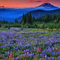 Blue Mountains at Sunset