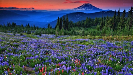 Blue Mountains at Sunset