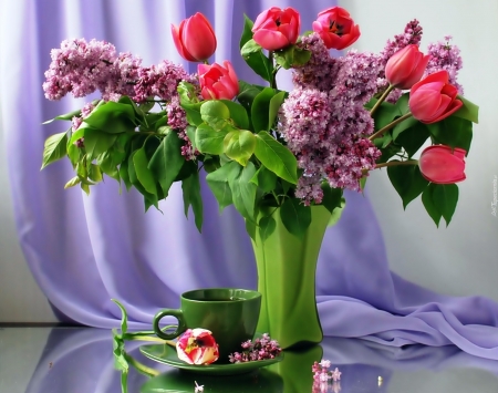 Still Life - pretty, Vase, Still Life, Flower