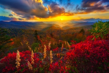 Rays of the sun - rays, morning, valley, sky, mountain, sunset, glow, view, amazing, beautiful, flowers, sunrise