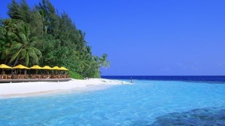 Nice Beach and Blue Sea - nature, beach, trees, blue, sea, sand