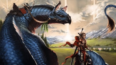 warrior and his dragon - field, warrior, dragon, mountain