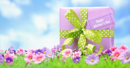 Happy Mother's Day - sky, gift, present, still life, spring, happy mothers day, bow, mothers day, clouds, ribbon, flowers, grass