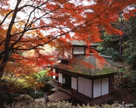 Sankeien Garden in Fall