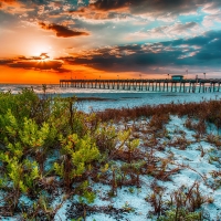 Venice fishing pier