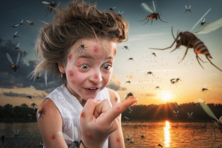 Just an animal lover - girl, summer, funny, child, copil, fantasy, creative, mosquito, john wilhelm, situation, hand, insect