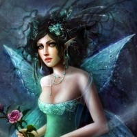 Fairy