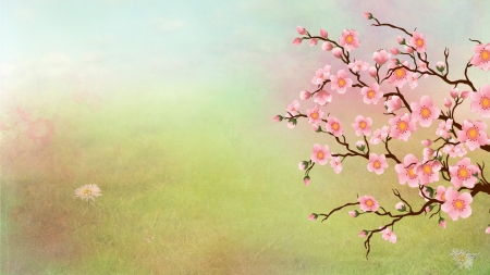 Spring Sensation - abstract, floral, sakura, pink, flowers, cherry blossoms, firefox persona theme, spring