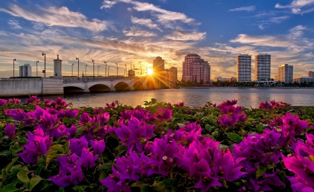 Sunset over the Bridge - Sunset, Flower, Nature, Sky