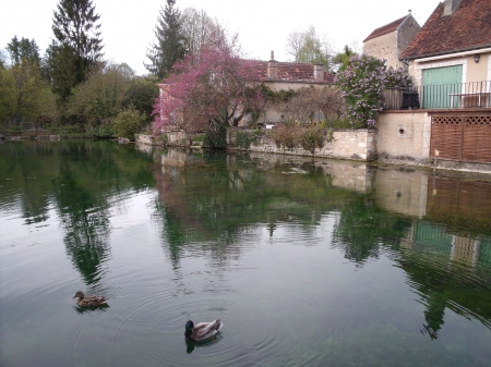 bourgogne - tonio, nature, bourgogne, france, architecture