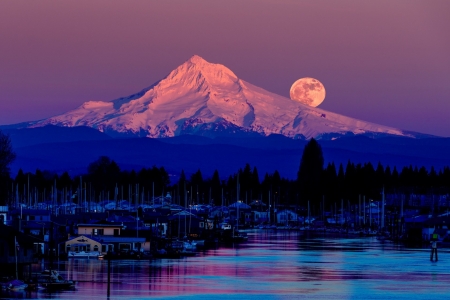 Mount Hood,USA - moon, lake, trees, mountain, night, nature, village, purple, forest