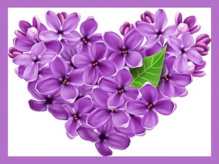 I love lilacs - flowers, lilacs, heart, purple